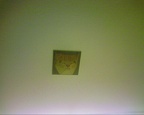2009-04-30 ceiling cat