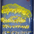 Schleimpilz-Anzucht von Biomasse durch Reihen von Haferflocken