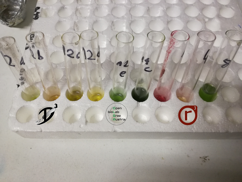 Chromatographie- Extraktion von pflanzlichen Farbstoffen.png