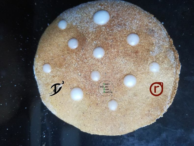 DIY- Weihnachtliches Keksebacken, Lebkuchen als Petrischalen mit Zuckerguss Kolonien2.png