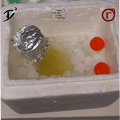 Gentechnik -Flüssigkultur von Bakterien im Eis abgekühlt zur Herstellung chemisch kompetenter Zellen