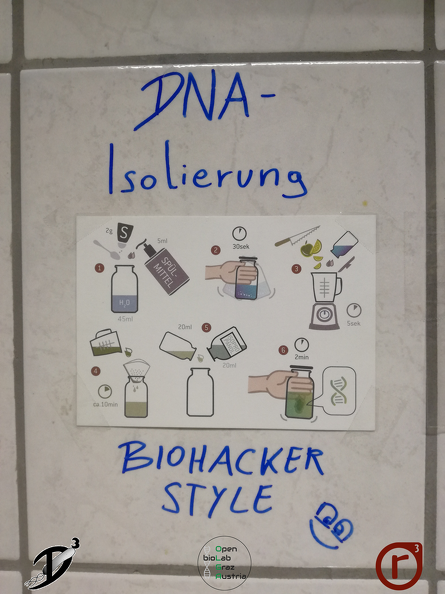 Gentechnik- Isolierung von DNA_4.png