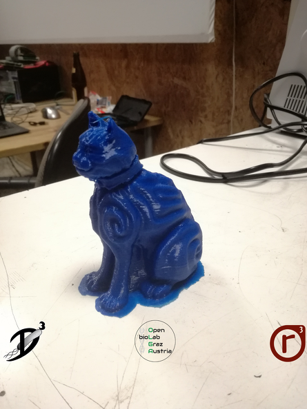 realraum- 3D Drucker Katze.png